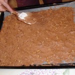 Brownies 1